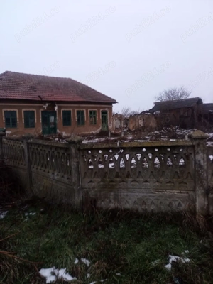 Vand casa goicea mare dolj 1950 mp - imagine 3