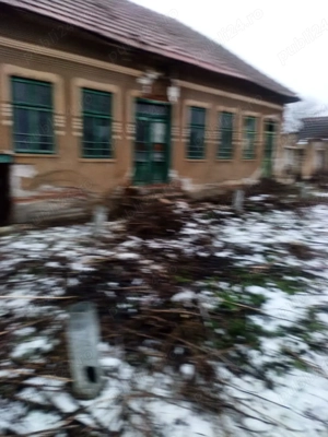 Vand casa goicea mare dolj 1950 mp - imagine 5