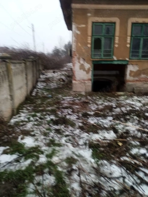 Vand casa goicea mare dolj 1950 mp - imagine 4