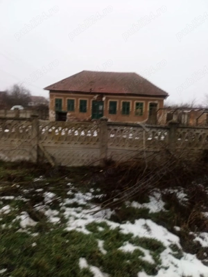 Vand casa goicea mare dolj 1950 mp - imagine 2