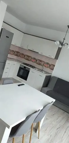 De inchiriat vila noua, zona Turcesti - imagine 10