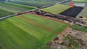 Teren industrial de vanzare de 25.000 mp, zona Deta - imagine 4