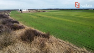 Teren industrial de vanzare de 25.000 mp, zona Deta - imagine 8