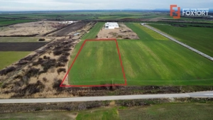 Teren industrial de vanzare de 25.000 mp, zona Deta - imagine 2