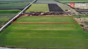 Teren industrial de vanzare de 25.000 mp, zona Deta - imagine 3