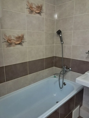 De inchiriat apartament cu o camera in zona Badea Cartan - imagine 2