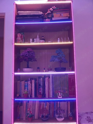 Tehnician LED-uri RGBW-DMX