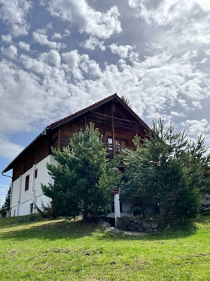 Cabană de închiriat (1 mai liber)