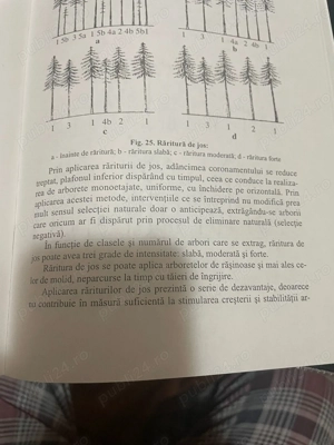 Cabană de închiriat (1 mai liber) - imagine 6