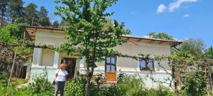 Casa si teren de vanzare Moinesti