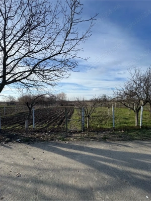 Vand teren intravilan  - imagine 3