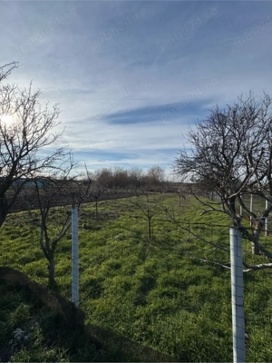 Vand teren intravilan  - imagine 2