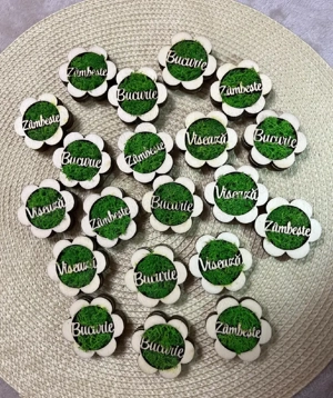 martisoare cu licheni stabilizati