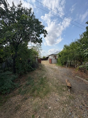 Vând casa Garoafa la șosea 