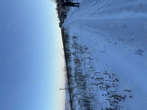 Teren Dealul Fânațelor Cluj Napoca  - imagine 3