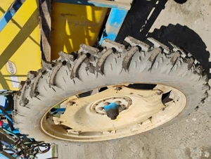 Met ierbicidat caruelle volustat - imagine 4