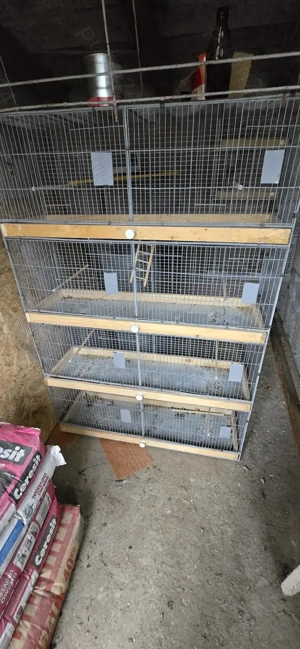 Veliera si Perusi standard