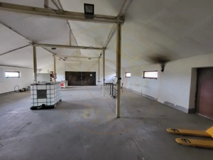 HALĂ INDUSTRIALĂ CU TEREN GENEROS  DE VÂNZARE – DB, CĂTUNU (TVA inclus) - imagine 3