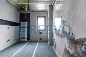 Casă/Vilă 500 mp Dumbrava Roșie, NT - imagine 16