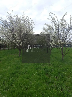 Teren 2000 mp DN2 Lilieci 25Euro/mp langa Bucuresti - imagine 4