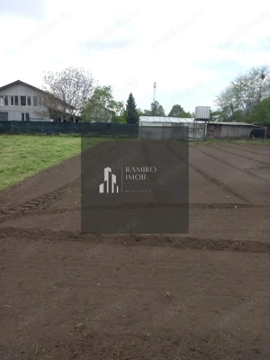 Teren 2000 mp DN2 Lilieci 25Euro/mp langa Bucuresti - imagine 3