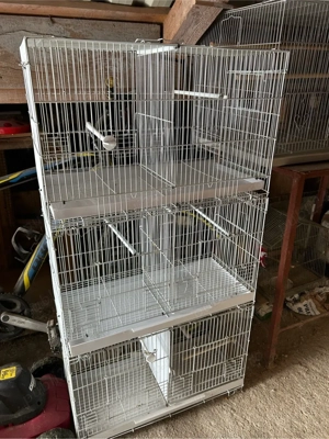 Colivi si cuiburi  - imagine 2