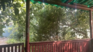 Casă și teren localitatea Mahmudia  brațul Sf. Gheorghe (Delta Dunării) - imagine 2