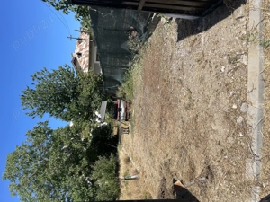 Casă și teren localitatea Mahmudia  brațul Sf. Gheorghe (Delta Dunării) - imagine 4