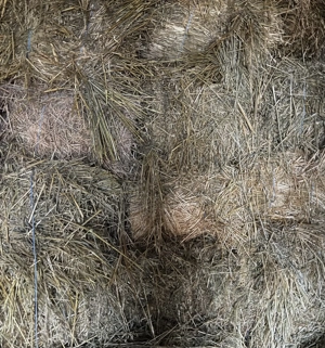 Vând baloți de ovăz tăiat verde 