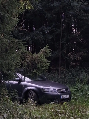 Audi A3 8P  S-Line 2.0 TDI  - imagine 8