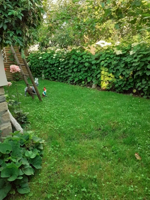 Casa vanzare- Comarnic - imagine 5