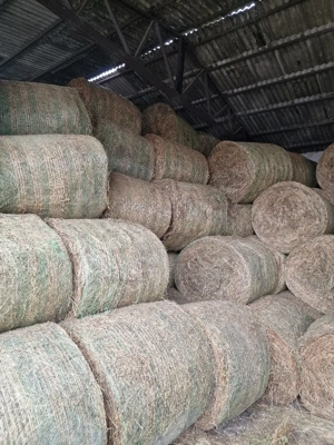 Baloți Lucernă, Trifoi, Ghizdei, Ierburi 