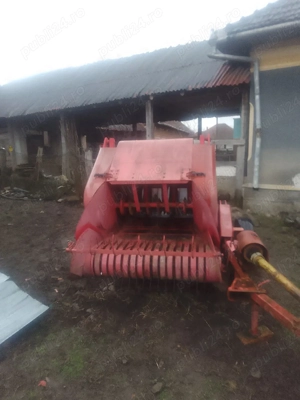 vand balotiera de munte - imagine 2