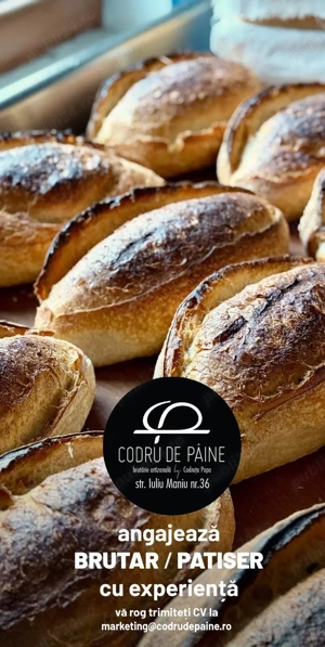 Persoana cu experienta in brutarie  patiserie