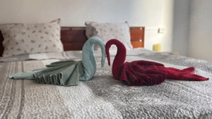 Cazare chirie Cabana la munte Tarcău - imagine 2