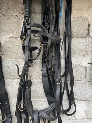 Vand hamuri trasura - imagine 5