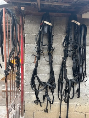 Vand hamuri trasura - imagine 4