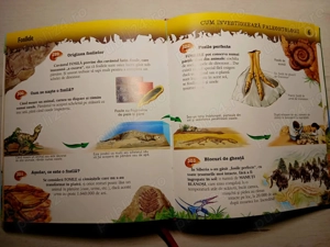 Enciclopedie pentru copii - 1000 de curiozitati despre animale - imagine 4
