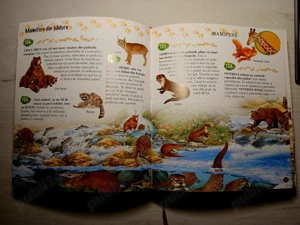 Enciclopedie pentru copii - 1000 de curiozitati despre animale - imagine 2