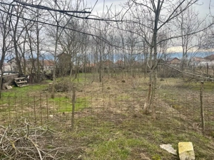 Proprietar vand casa la gri in Jebel  - imagine 5