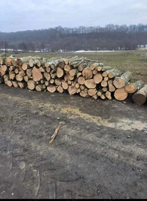 Vând lemne de foc carpen cu fag 