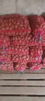 Cartofi de consum rosii Cristian