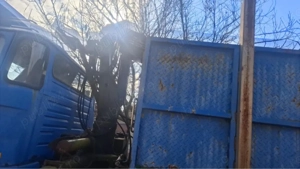 yfa cu macara  - imagine 2