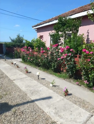 Casa de Vanzare in Osica de Sus - imagine 2