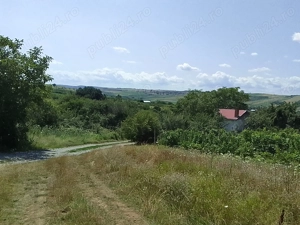 Teren extravilan  cu casuta vie si livada la 15 min. de baile Tasnad