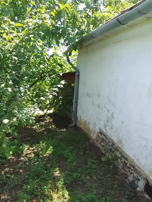 Teren extravilan  cu casuta vie si livada la 15 min. de baile Tasnad - imagine 4