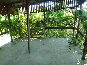 Teren extravilan  cu casuta vie si livada la 15 min. de baile Tasnad - imagine 5