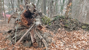 Vând 1400 mp. teren intravilan în stațiunea Căciulata - imagine 2