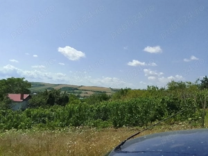 Teren extravilan  cu casuta vie si livada la 15 min. de baile Tasnad - imagine 2