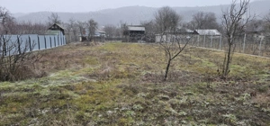 VÂNZARE MOŞIE   Sat Mitrofani, Comuna Mitrofani, jud. Vâlcea  - imagine 6